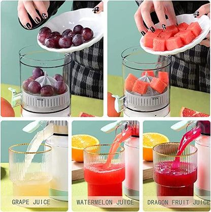 Electric Citrus Juicer